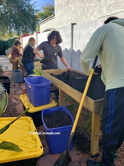Cleaning out old garden beds