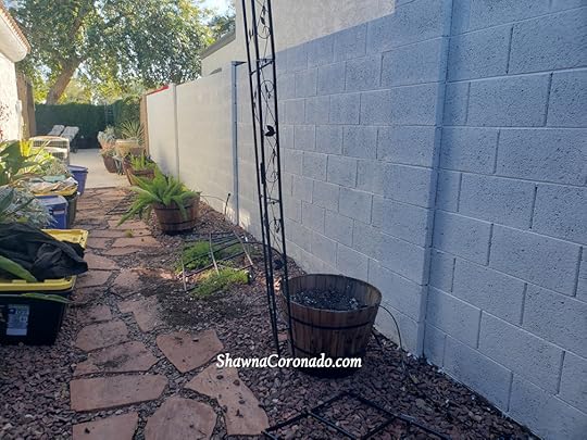 Art Gallery Primer Wall