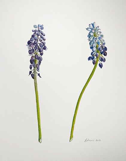 IMG_20170517_162624-01