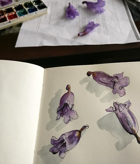 Dr_01-IMG_20170313_181723