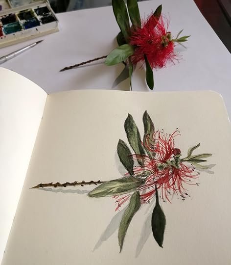 Dr_04-IMG_20170314_174028