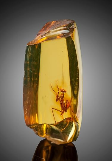 Praying Mantis in Amber