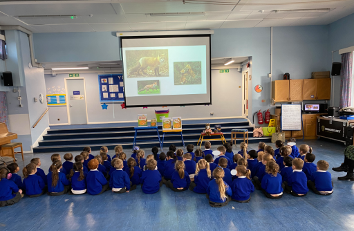 A groups of school children sitting on the floor looking at a screen with foxes.