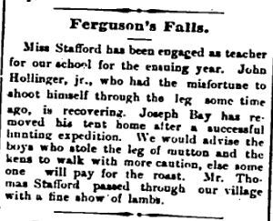 Ferguson Falls teacher Mary Stafford Nov 10 1893 p 4