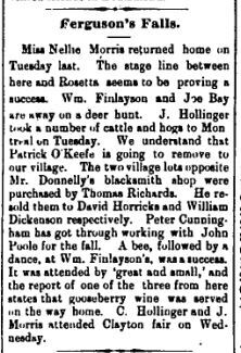 Ferguson Falls news Nov 13 1896 p 5