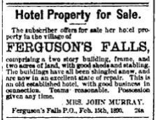 Ferguson Falls hotel for sale March 7 1890 p 7