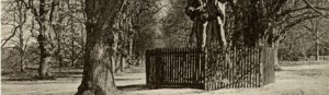 Queen Elizabeth's Oak 1893