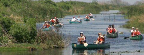 Canoeing. Oxford Etymologist, Oxford University Press