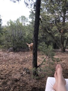 Sit Spot Practice with Lori Robinson