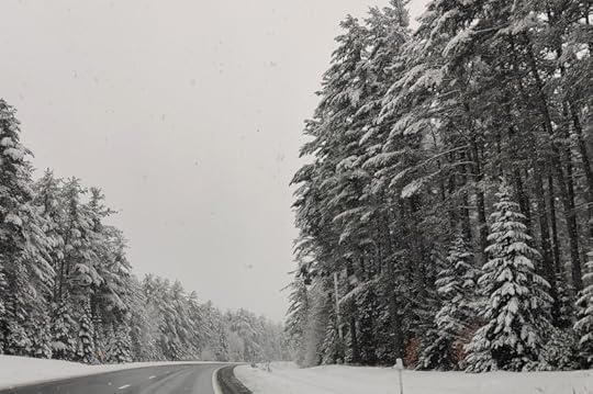 IMG_20230120_110625_850