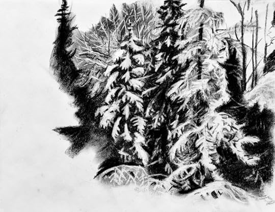 IMG_20230316_122107-01