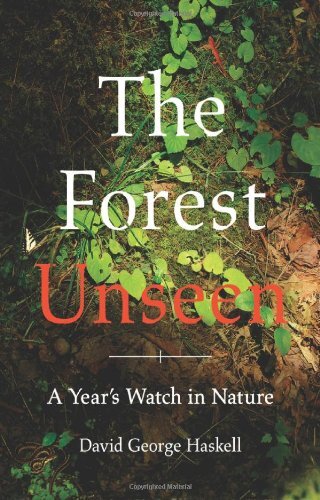 Lichens and the Meaning of Life