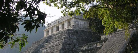 Climate emergency: lessons from Classic Maya to contemporary China [podcast]