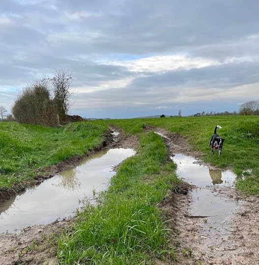 Of Puddles and Ponds