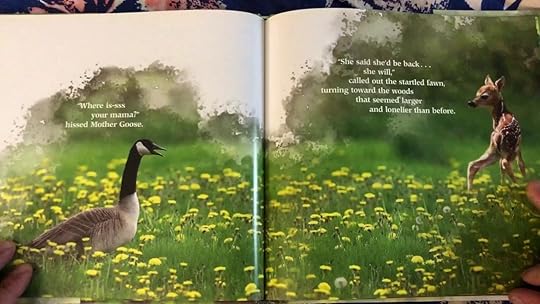 Lost In The Woods: A Photographic Fantasy by Carl R. Sams II | Goodreads