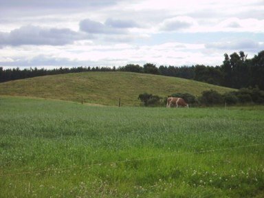 Macbeth's Hillock