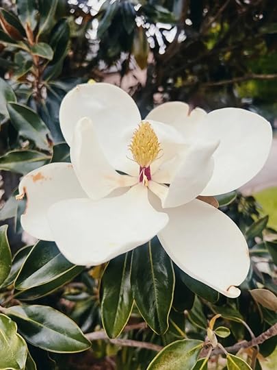 Let It Be Sunday, 411! 