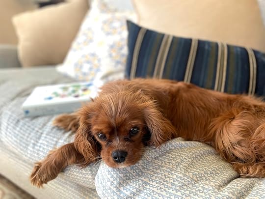 thesimplyluxuriouslife.com | The Simply Luxurious Life