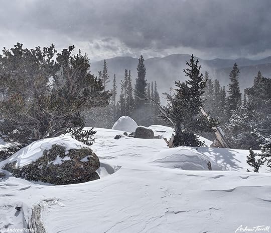 igloo in forest with spindrift march 27 2023