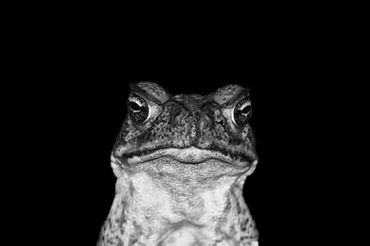 Should we kill pests or plant trees? It’s simple really