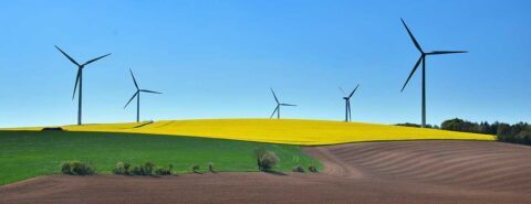 How sustainable is sustainability? By Sarah Reed, Animal Frontiers