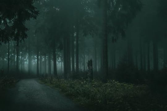 What will you find beyond the unknown?