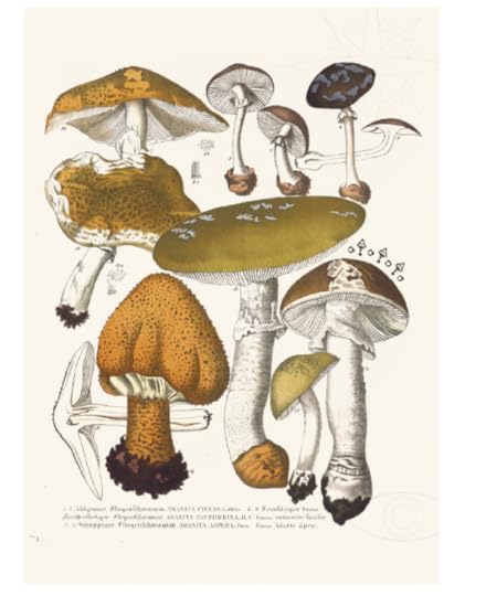 Screenshot-2023-04-06-132813