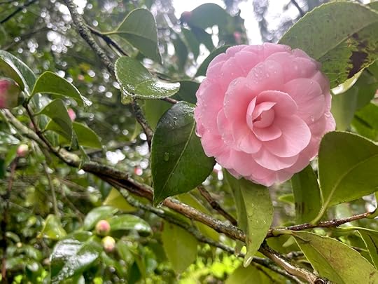 thesimplyluxuriouslife.com | The Simply Luxurious Life