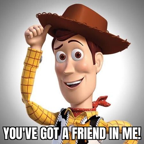 Youve got a friend in me