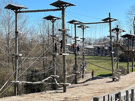 Screaming Raptor Zip Lines
