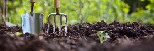 Gardening