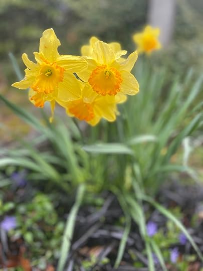 Thesimplyluxuriouslife.com | The Simply Luxurious Life