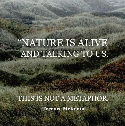 Image by tenderlygirl