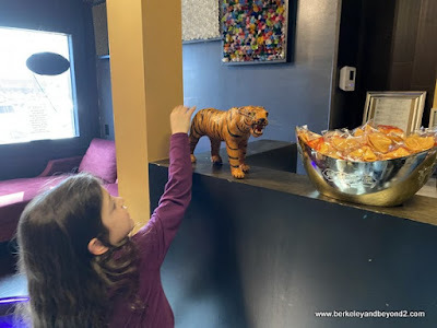 tiger decoration and fortune cookies at Dashi Sichuan Kitchen + Bar in San Antonio, Texas