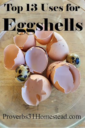 Top 13 Uses for Eggshells