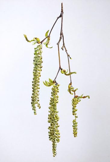 IMG_20170502_151355-01