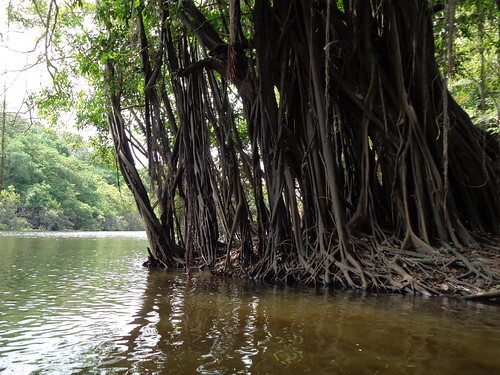 renaco, lago tarapoto