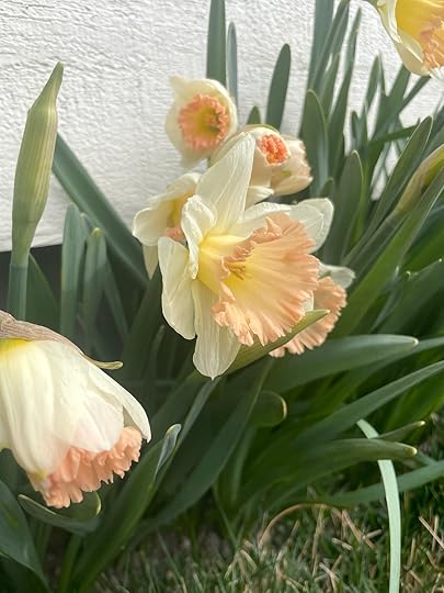 thesimplyluxuriouslife.com | The Simply Luxurious Life