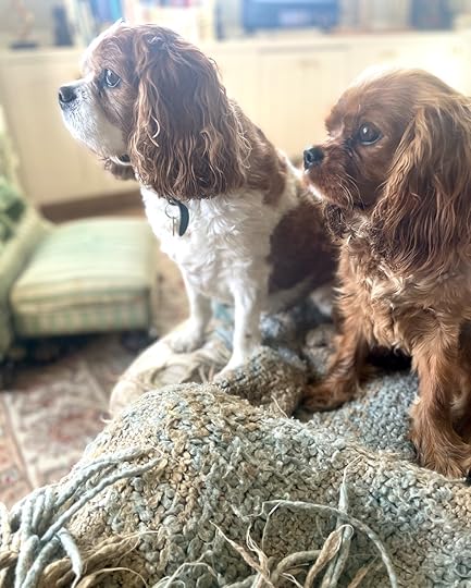 thesimplyluxuriouslife.com | The Simply Luxurious Life