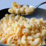 close up of spoonful of mac and cheese.