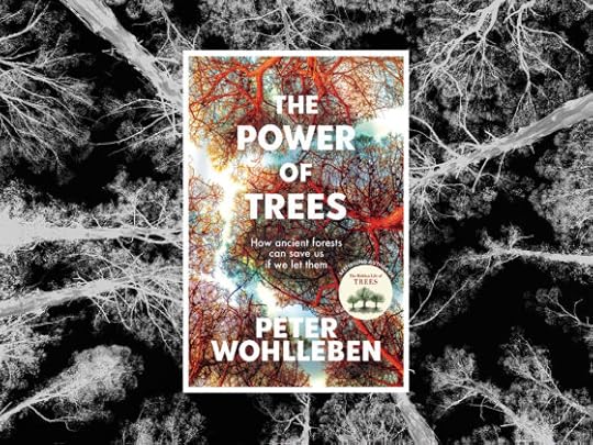 The Power of Trees by Wohlleben: Ancient brains and animal impact