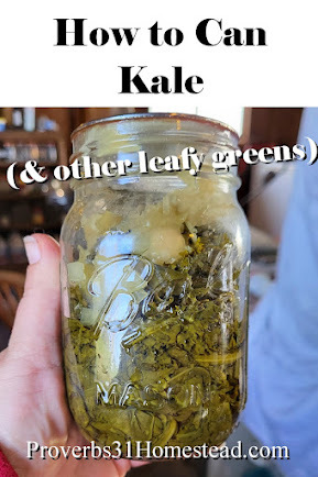 How to Can Kale and Other Leafy Greens