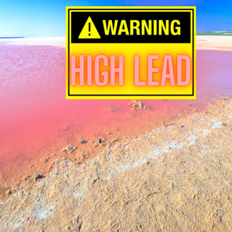 lead warning