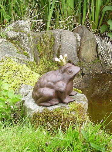 Fairytale fun with a frog prince.