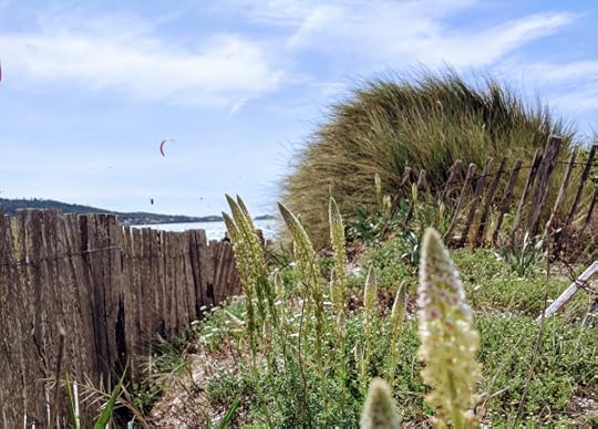 Wind sports in france hyeres