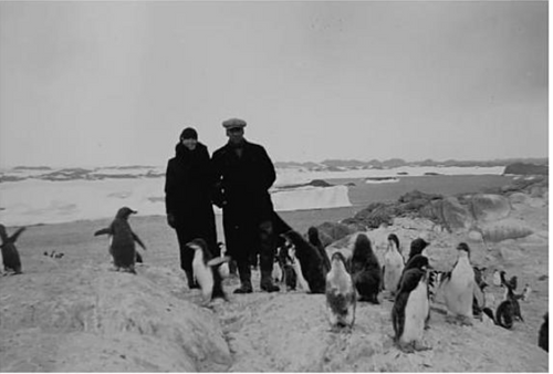 Captain Mikkelsen and Caroline Mikkelsen surrounded by penguins