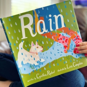 https://thebabybookworm.com/2023/04/25/rain-cynthia-rylant/