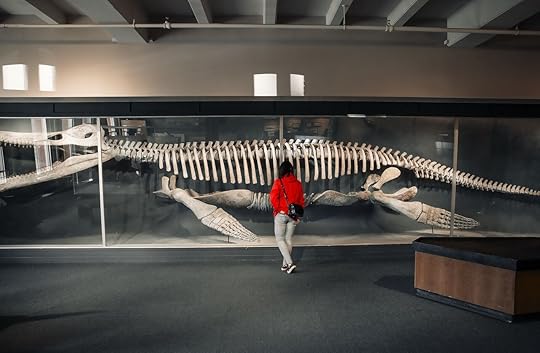 boston-museums