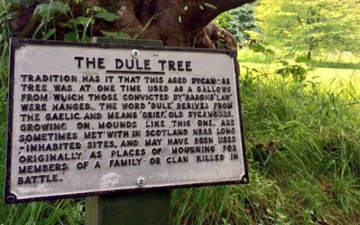 The Dule tree - informational plaque