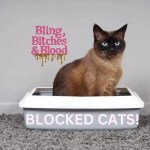 flutd blocked cat